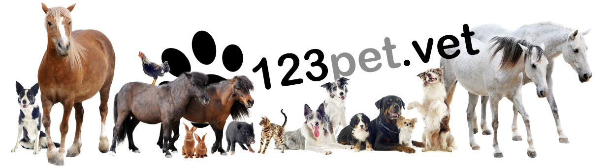 Alle Tiere