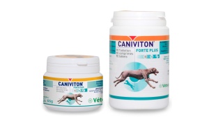 caniviton-forte-plus-90-30