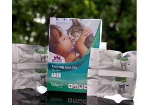 relax-sol_calminspoton_katze