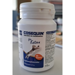 cosequin_katze